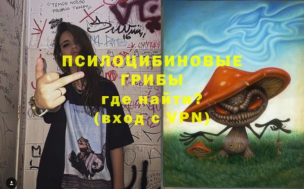 Альфа ПВП Бугульма